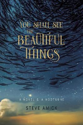You Shall See the Beautiful Things - A Novel & A Nocturne - Steve Amick - cover