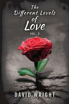 The Different Levels of Love, Volume 2 - David Wright - cover