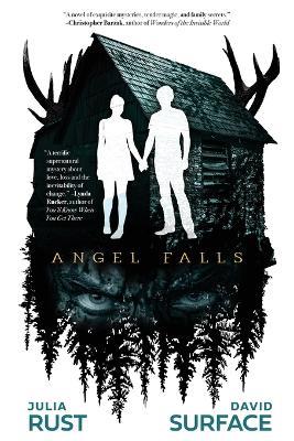 Angel Falls - Julia Rust,David Surface - cover