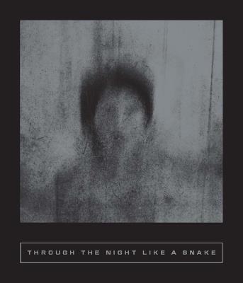 Through the Night Like a Snake: Latin American Horror Stories - M?nica Ojeda,Tom?s Downey,Camila Sosa Villada - cover