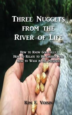 Three Nuggets from the River of Life - Kim F Voisin - cover
