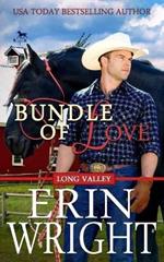 Bundle of Love: A Secret Baby Western Romance