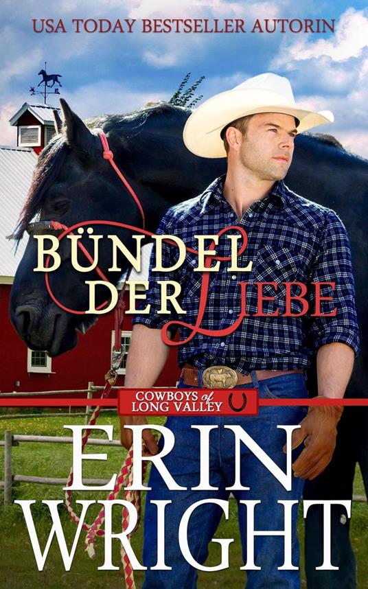 Bündel der Liebe: Der Einsame Cowboy