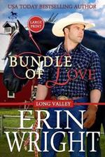 Bundle of Love: A Secret Baby Western Romance (Large Print)