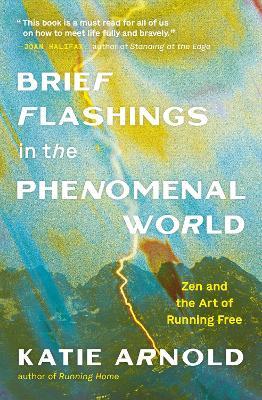 Brief Flashings in the Phenomenal World - Katie Arnold - cover