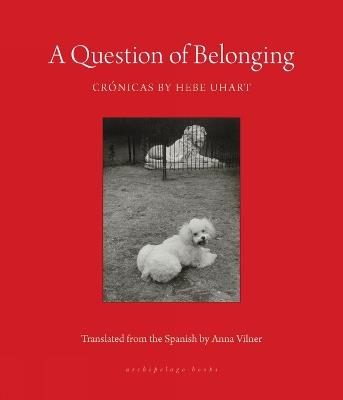 A Question of Belonging: Cronicas - Hebe Uhart,Anna Vilner - cover
