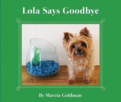 Lola Says Goodbye - Marcia Goldman - cover