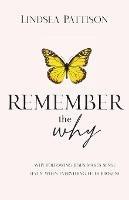 Remember the Why: Why Following Jesus makes Sense (even when everything else feels broken) - Lindsea Pattison - cover