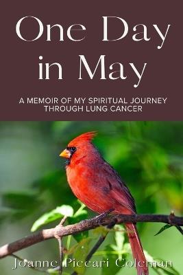 One Day in May: A Memoir of My Spiritual Journey Through Lung Cancer - Joanne Piccari Coleman - cover