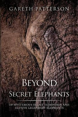Beyond the Secret Elephants - Gareth Patterson - cover