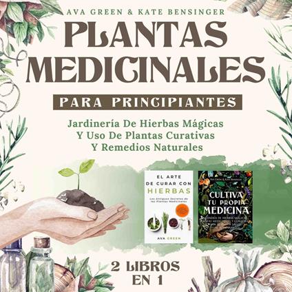 Plantas Medicinales Para Principiantes