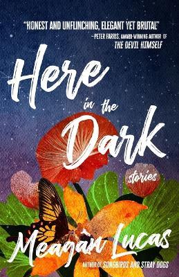 Here in the Dark: Stories - Meagan Lucas - cover