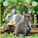 The Wonderful World of Rabbits: Interesting Facts About Rabbits