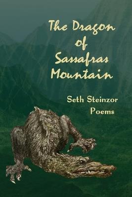 The Dragon of Sassafras Mountain - Seth Steinzor - cover