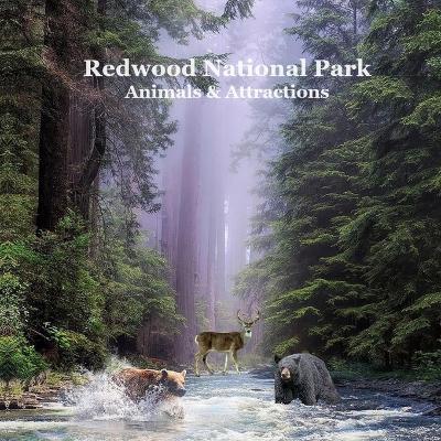Redwood National Park Animals and Attractions Kids Book: Great Way for Children to See Redwood National and State Parks - Kinsey Marie,Billy Grinslott - cover