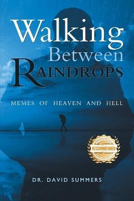 Walking Between Raindrops: Memes of Heaven and Hell - David P Summers,---------- - cover