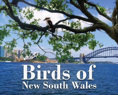 Birds of New South Wales - Dirk Kotze - cover