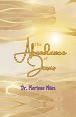 The Abundance of Jesus