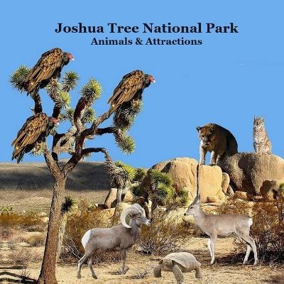 Joshua Tree National Park Animals and Attractions Kids Book: Great Kids book about the Animals and Attractions in Joshua Tree National Park - Kinsey Marie,Billy Grinslott - cover