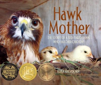 Hawk Mother: The Story of a Red-tailed Hawk Who Hatched Chickens - Kara Hagedorn - cover
