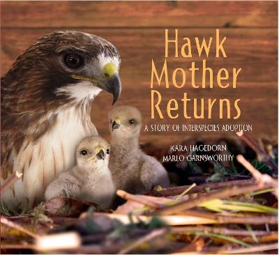 Hawk Mother Returns: A Story of Interspecies Adoption - Kara Hagedorn,Marlo Garnsworthy - cover