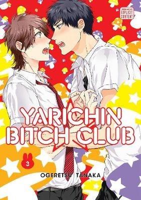 Yarichin Bitch Club, Vol. 3 - Ogeretsu Tanaka - cover