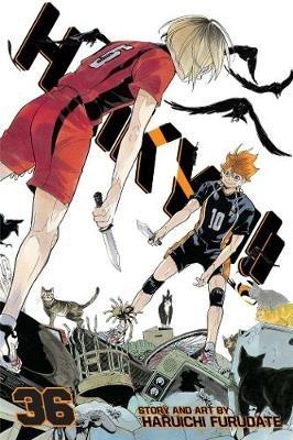 Haikyu!!, Vol. 36 - Haruichi Furudate - cover