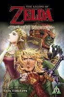 The Legend of Zelda: Twilight Princess, Vol. 10