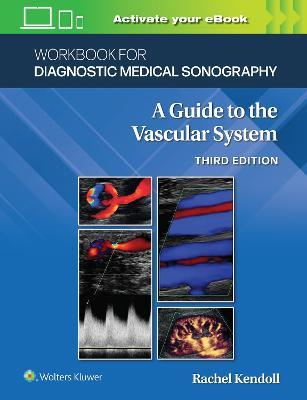 Workbook for Diagnostic Medical Sonography: The Vascular Systems - Ann Marie Kupinski - cover