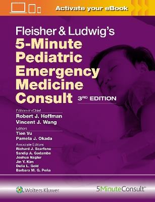 Fleisher & Ludwig's 5-Minute Pediatric Emergency Medicine Consult - ROBERT JAMES HOFFMAN,VINCENT WANG - cover