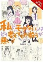 No Matter How I Look at It, It's You Guys' Fault I'm Not Popular!, Vol. 17 - Nico Tanigawa - cover