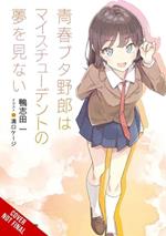 Rascal Does Not Dream, Vol. 12 (light novel)