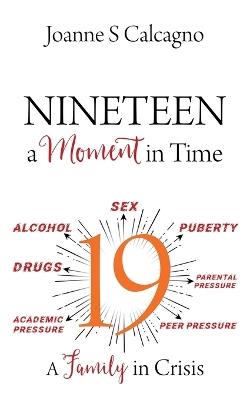 NINETEEN a Moment in Time: A Family in Crisis - Joanne S Calcagno - cover