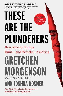 These Are the Plunderers: How Private Equity Runs—and Wrecks—America - Gretchen Morgenson,Joshua Rosner - cover