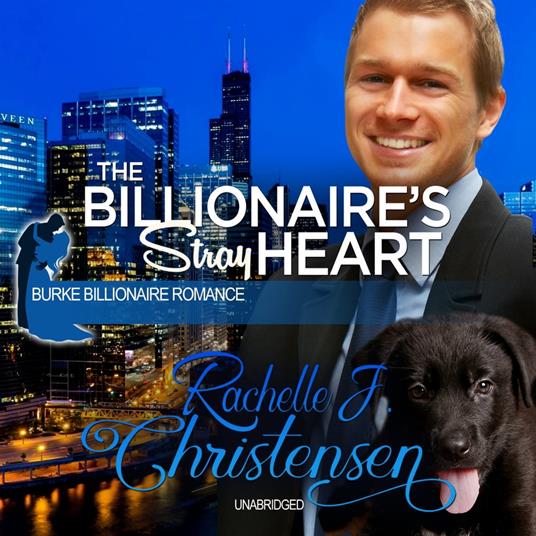 The Billionaire’s Stray Heart