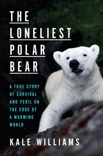 The Loneliest Polar Bear