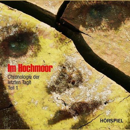 Im Hochmoor