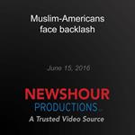 Muslim-Americans face backlash