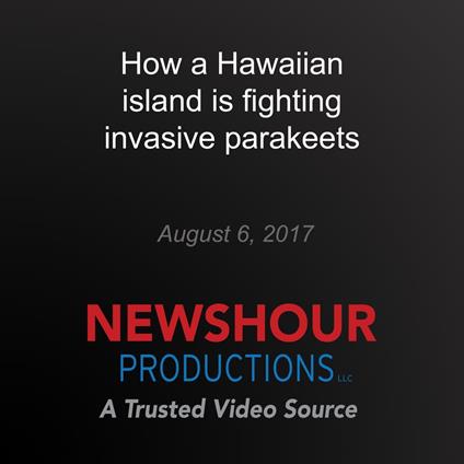 How a Hawaiian island is fighting invasive parakeets