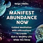 Manifest Abundance Now