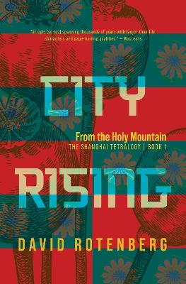 City Rising: From the Holy Mountain - David Rotenberg - cover