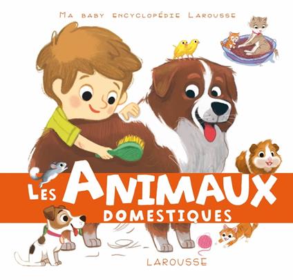 Les animaux domestiques - Sandra Lebrun,Céline RIFFARD - ebook
