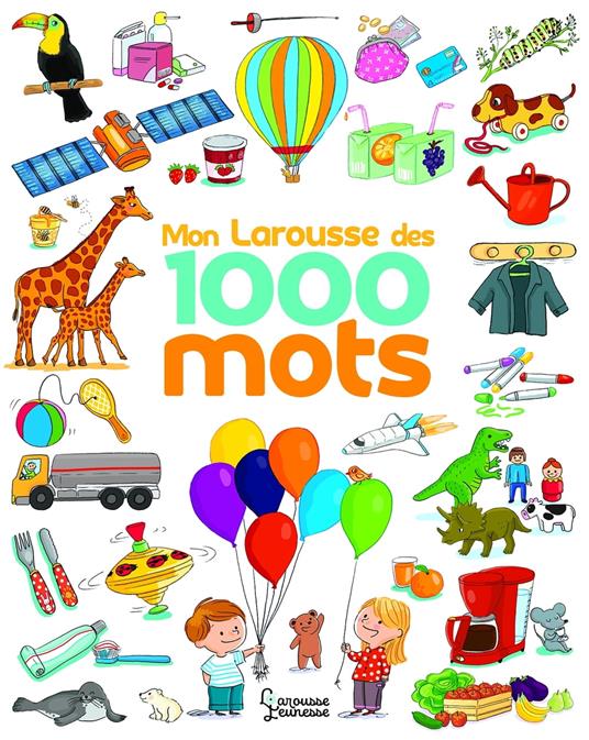 Le Larousse des 1 000 mots NE - Caroline Modeste - ebook