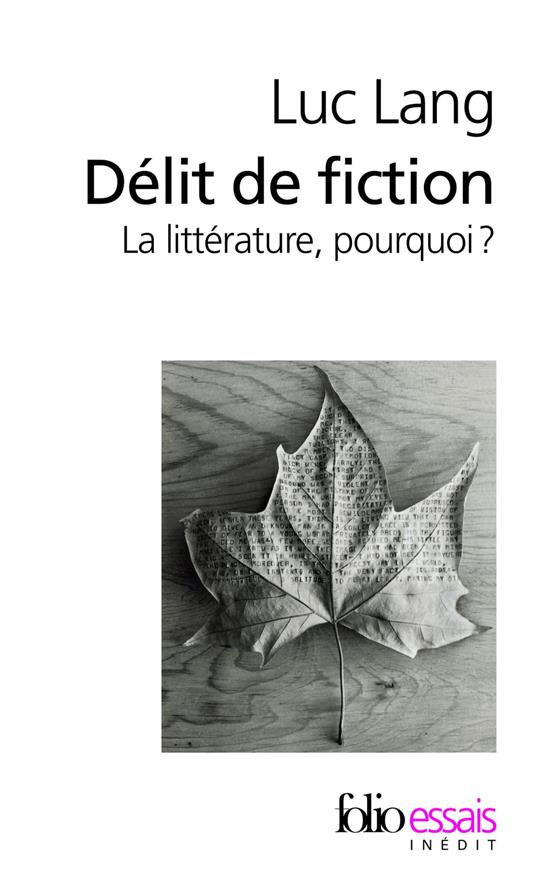 Délit de fiction. La littérature, pourquoi ?