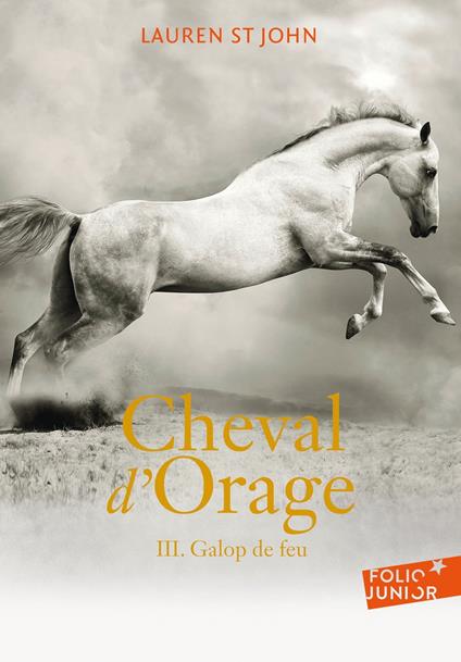 Cheval d'Orage (Tome 3) - Galop de feu - Lauren St. John,Alice Marchand - ebook