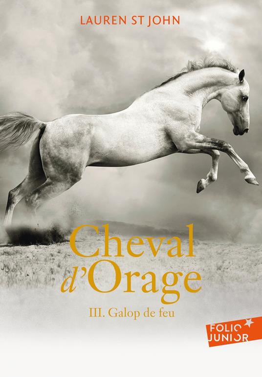 Cheval d'Orage (Tome 3) - Galop de feu - Lauren St. John,Alice Marchand - ebook