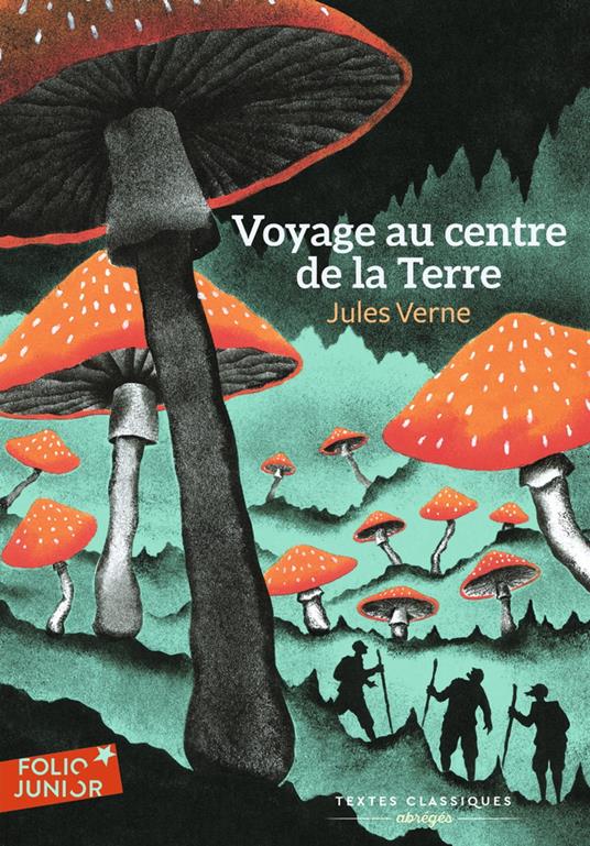 Voyage au centre de la Terre - Jules Verne,Donatien Mary,Riou - ebook