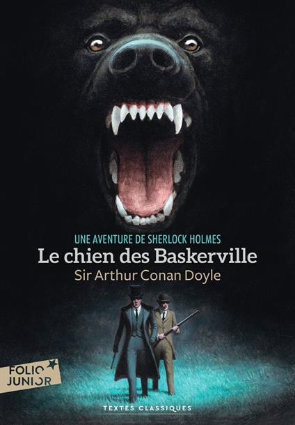 Le chien des Baskerville - Conan Doyle Arthur,Jean-Noël Leblanc,François Roca,Bernard TOURVILLE - ebook