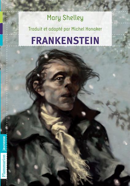 Frankenstein - Mary Wollstonecraft Shelley - ebook