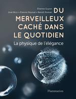 Du merveilleux caché dans le quotidien. La physique de l'élégance